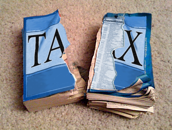 How do you pay taxes for your LLC