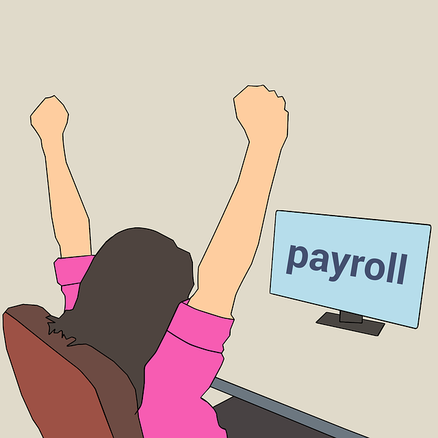 LLC employee payroll