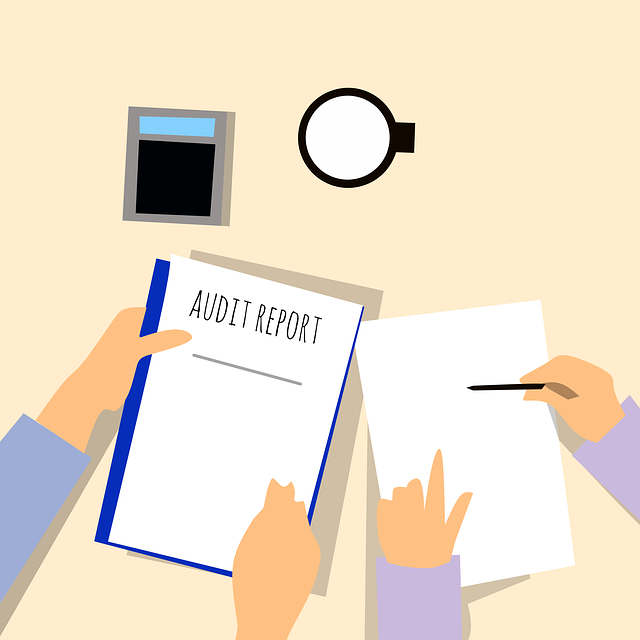 what to do when being audited